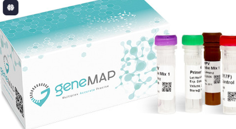 GeneMAP® Coeliac RT Kit (ref: CEL-RT25)
